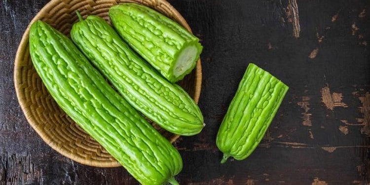 pare sebagai bahan herbal penurun gula darah