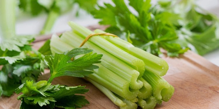 daun-seledri-untuk-asam-urat