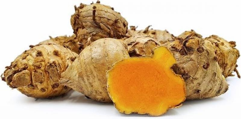 tanaman obat keluarga temulawak