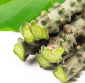 jamu brotowali dan pegagan