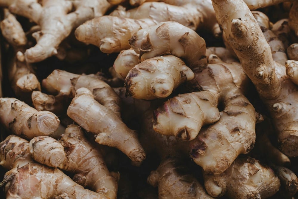 tanaman herbal penambah imun tubuh